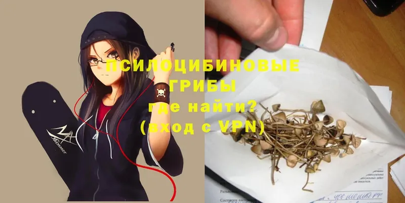 Галлюциногенные грибы MAGIC MUSHROOMS  как найти   MEGA ССЫЛКА  Иркутск 